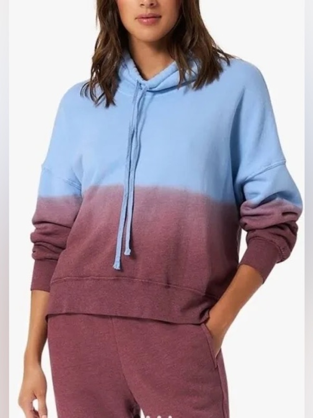 Xirena Chase Sweatshirt in Blue and Maroon Ombré